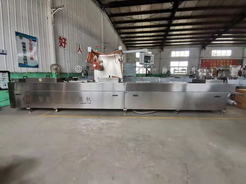 全自動(dòng)真空包裝設(shè)備 現(xiàn)代包裝技術(shù)的革新與應(yīng)用